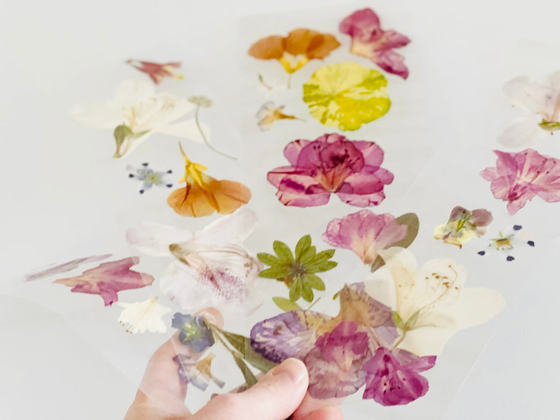 DIY Pressed Flower Bookmarks