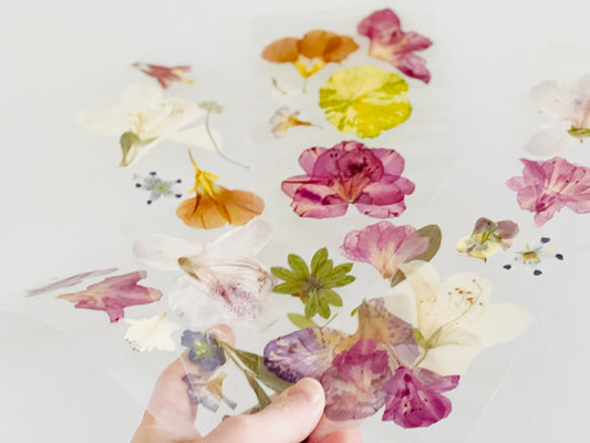 DIY Pressed Flower Bookmarks