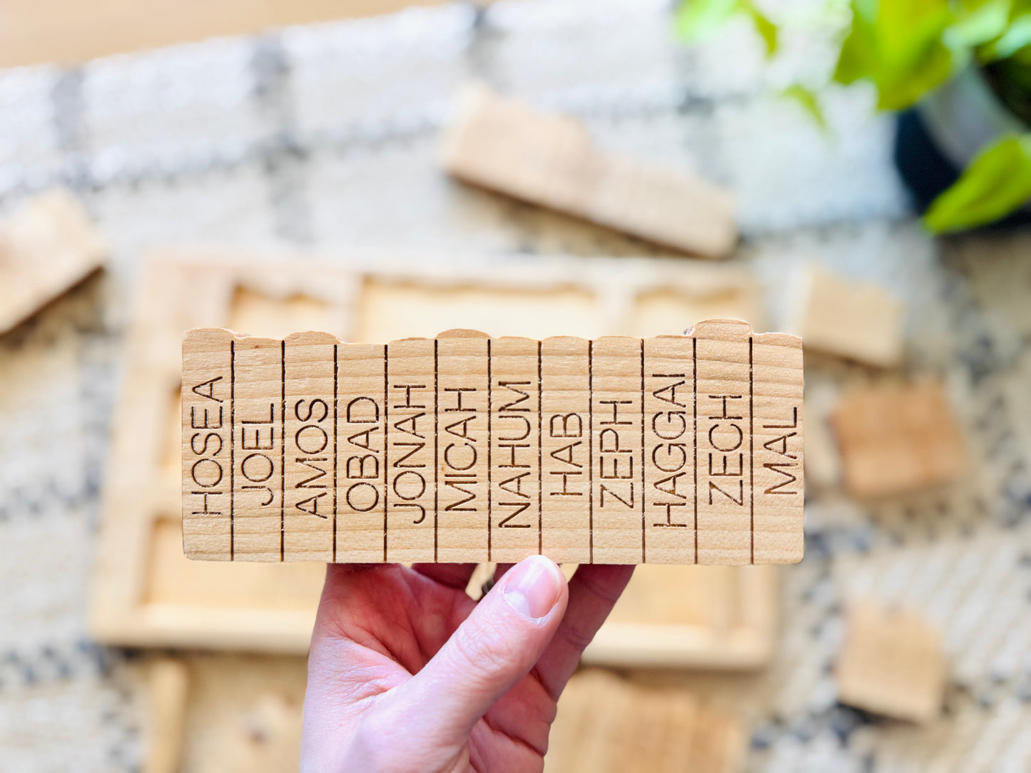 Books of the Bible puzzle