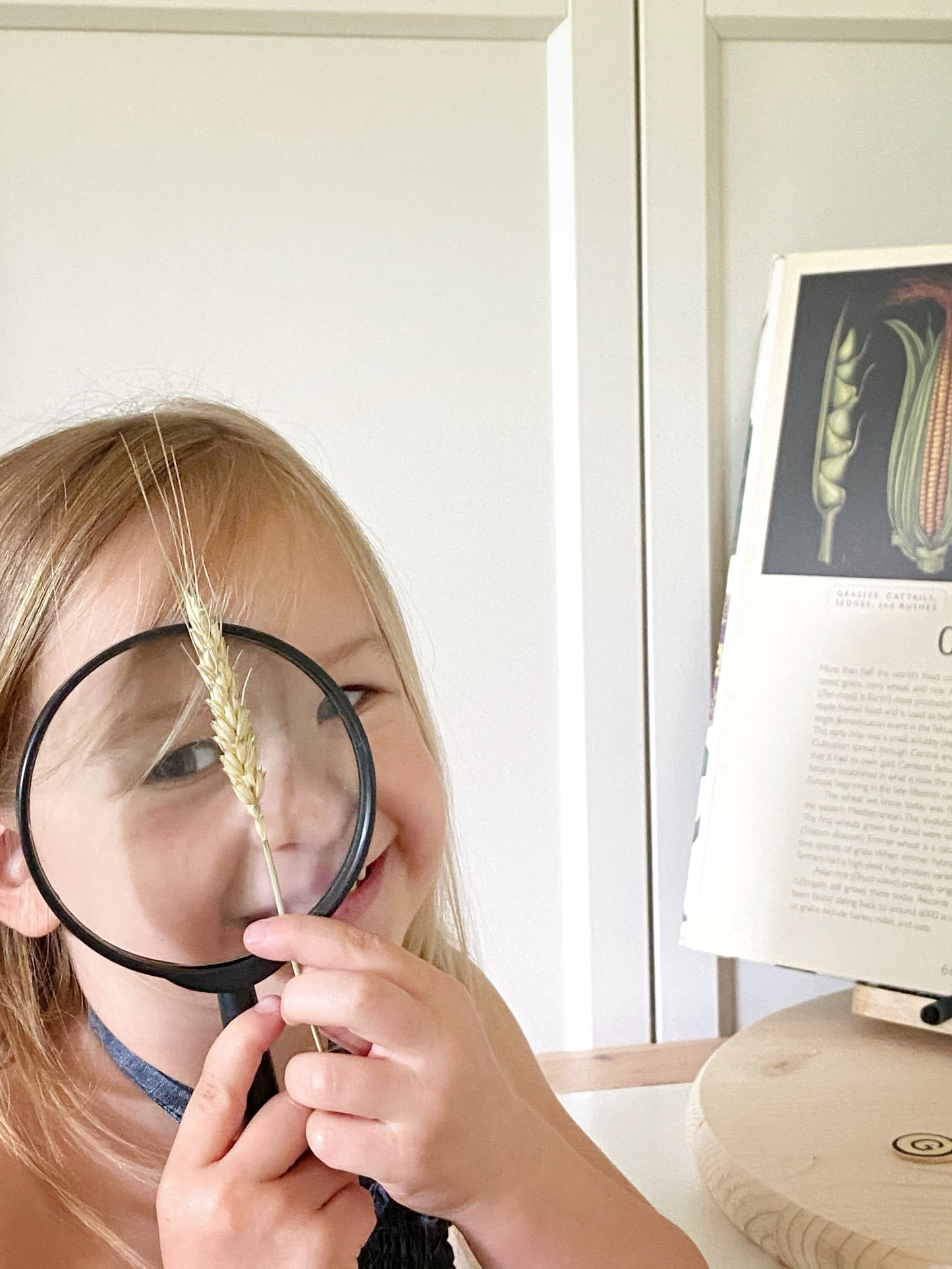 In the Garden Parables study (digital bundle)