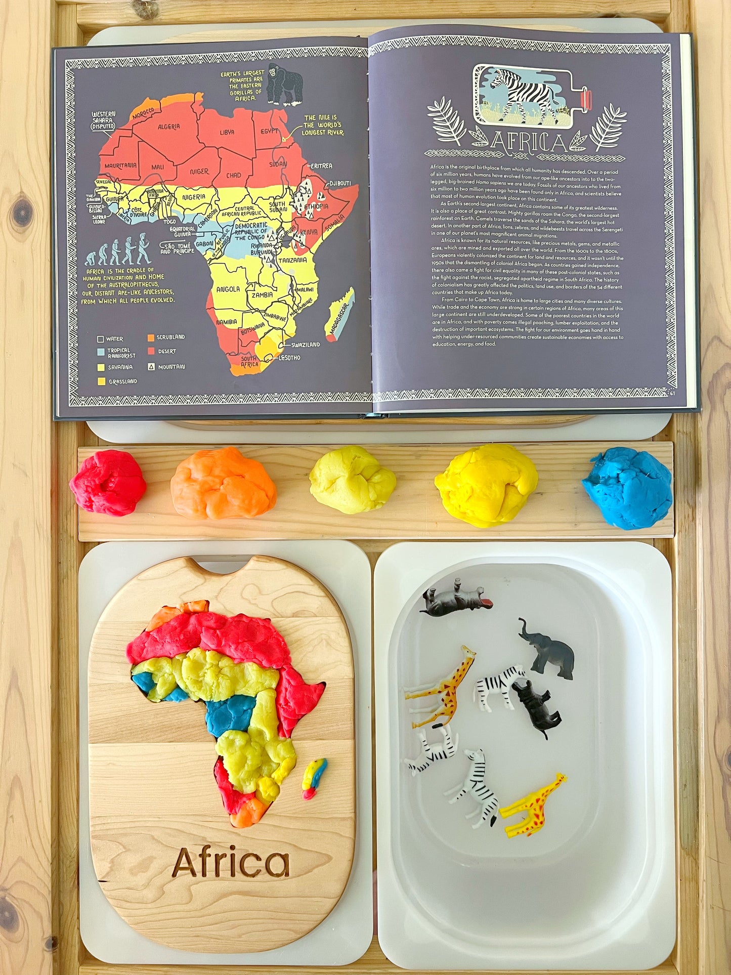 Custom double sided Flisat table inserts