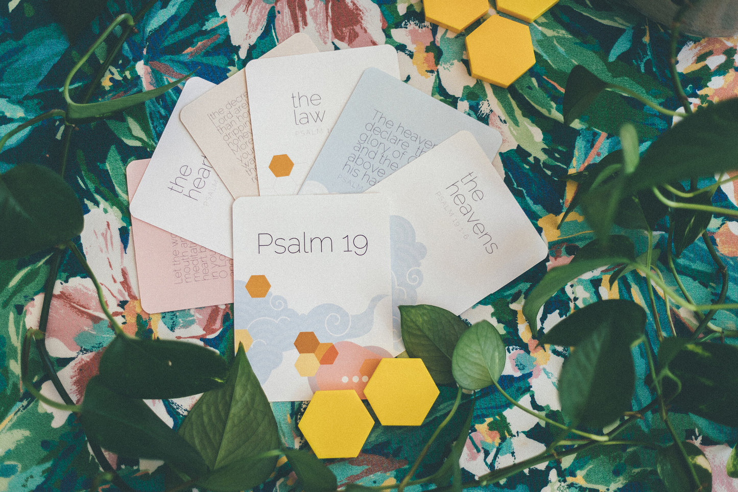 Psalm 19 story card set - Digital Download