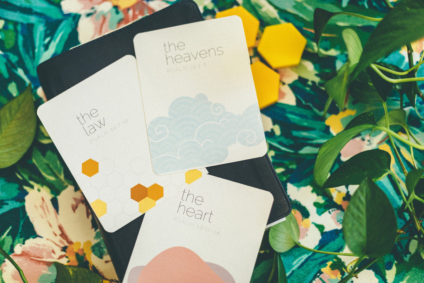 Psalm 19 story card set - Digital Download