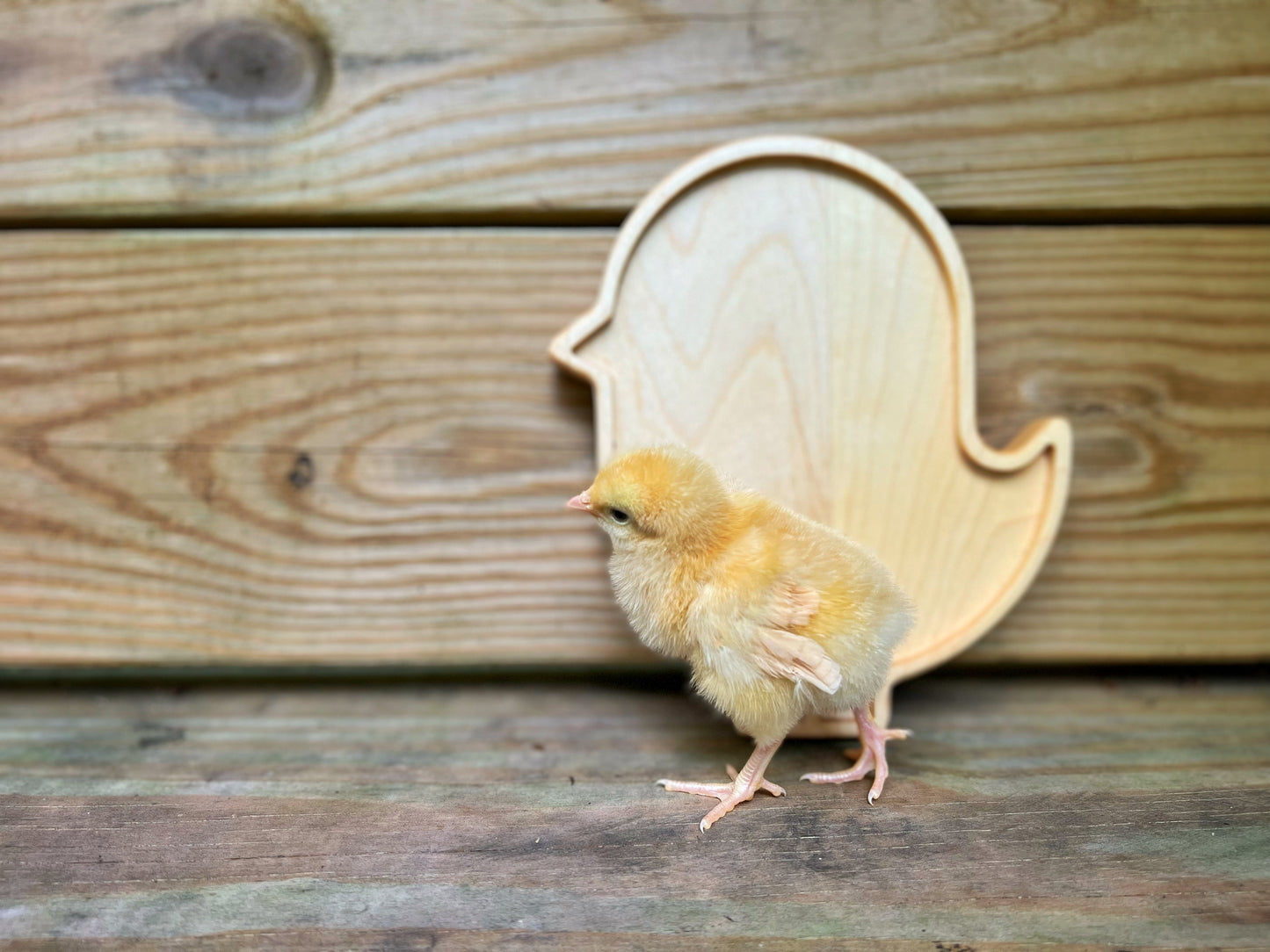 Chicka Chick Play Tray