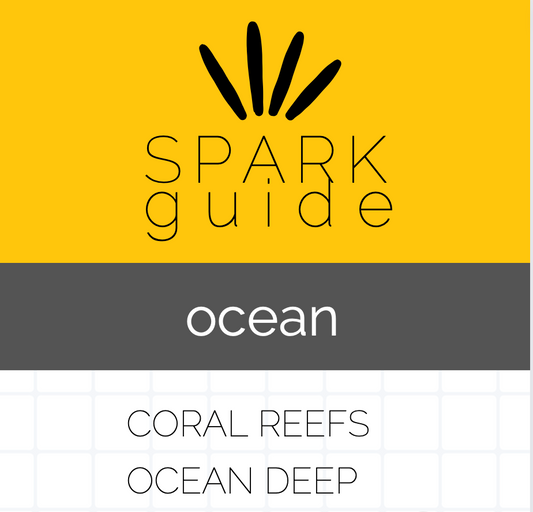 Summer SPARK guide: Ocean